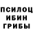 Галлюциногенные грибы Psilocybine cubensis Mobi Zima