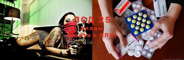 трава Киренск
