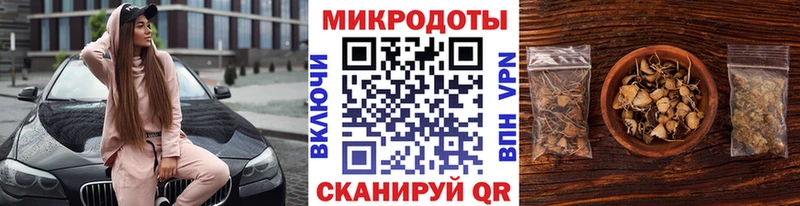 Галлюциногенные грибы мухоморы  Приволжский 